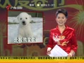 㶫糿 ô󱱼ܱѩ