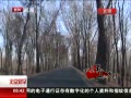 硷 ѡͨʷǴ