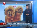 ӻɫֱ ϵʨע轺α