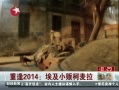 š ط2014 С