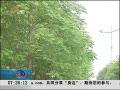簲ɽ ɽ뵺󵽱 ϴ羯