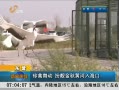 簲ɽ Ӫ趯 ƺ뺣