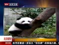 硷 Բ