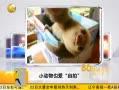 һʱ 20130722 СҲ
