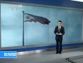 ʱա ɱؽձȿ վ