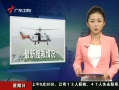 š 绰ߣʧѾ