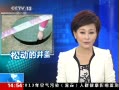 ֱ䡷 Сɶ ͯɥ