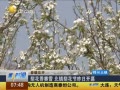 һʱ 20140416 滨ѩ滨տĻ