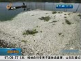 簲ɽ 人︮Ư ΪȾ