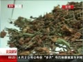 硷 صİٻٲ