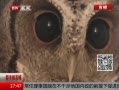 ߷塷 ɶԮ ȵɹɽ
