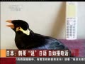 йš ձӸ˵ӵ绰