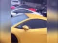нͷ鳵 糵չ