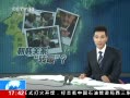 ֱ䡷 ɢԱ