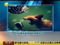һʱ 20140516 KTV쭸Ƹɥ