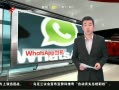 š WhatsApp Ϣȥ