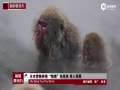 ձѩ顰ꡱȪ ֻ