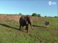 Android 桶Զѡ