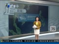 š й洬Ϻ 11ʧ