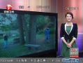 ų ʯ羰п