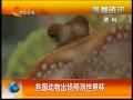 ӱ Ԥ籭