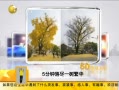 һʱ 20131215 5価һ
