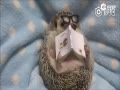 ɰС Ȼ
