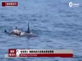  費ȥƴӪ