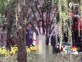 Ƶ޽Ƭǣ ͬЬй¶飿
