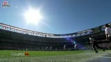 Ƶ-NFL10֮ ײ