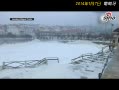 캣سѩ