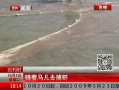 ߷塷 ȥϺ