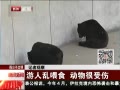 ű ιʳ 