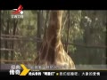 䴫 20140324 ǽɣİ