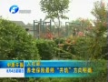 ԭ籨 粿ϱղ췽ȷ