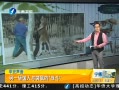 簲 һս