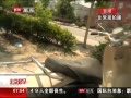 硷 Ħгг ٳ