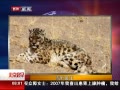 硷 ѩϮ