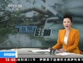 ֱ䡷 8 5ʧ