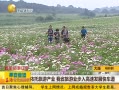 ӵһʱ䡷 βҵ ʡҵٷչ쳵