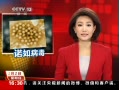 ֱ䡷 ŵ粡θ