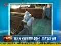 㶫糿 ú԰ָӦϵ