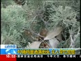 ֱ䡷 40伦ͷ ˰æʰ
