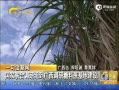 š ϵ鵽ǿؽ