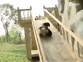 ȣèŶ滬
