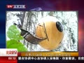 硷 6ϴ촴