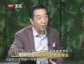 롷 ձ̹