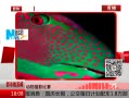 ߷塷 Ӱ