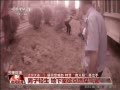 Ƶ:ӵú޳ָ뾯ؾ޳