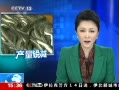 ֱ䡷 42% ÿ15Ԫ